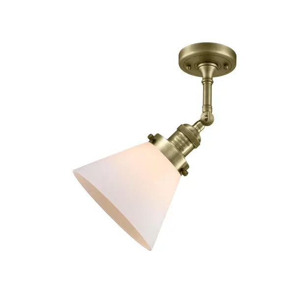 The Franklin Restoration by Innovations Lighting - Image 3