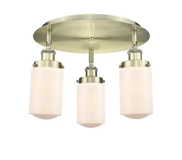 One of our largest and original collections, the Franklin Restoration is made up of a vast selection of heavy metal finishes and a large array of metal and glass shades that bring a touch of industrial into your home.