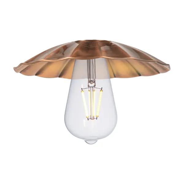 One of our largest and original collections, the Franklin Restoration is made up of a vast selection of heavy metal finishes and a large array of metal and glass shades that bring a touch of industrial into your home.
